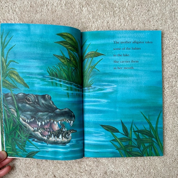 Preschool Book Bundle - Picture 7 of 13